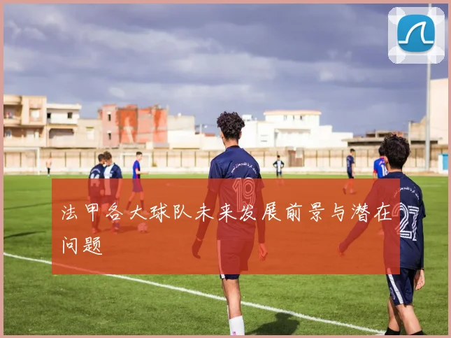 法甲各大球队未来发展前景与潜在问题